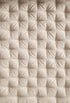 FK10 Plico Chair